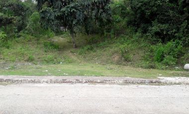 180 Sqm Residential Lot for Sale in Greenwoods near Talamban Cebu City with Mountain View
