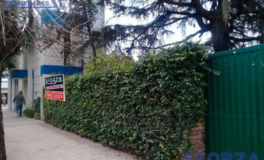 Casa - Centro (S.Mig.)