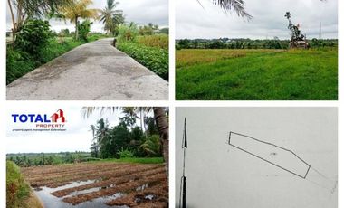 Tanah dijual di Bali, Badung