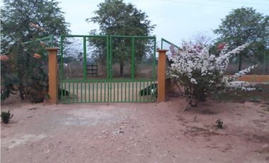 Vendo finca sector Porvenir, vía Tierralta