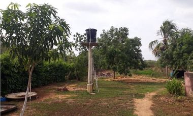 Vendo finca sector Porvenir, vía Tierralta