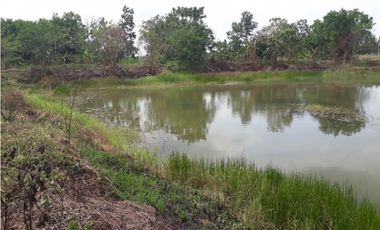 Vendo finca sector Porvenir, vía Tierralta