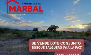 Lote en venta en Valledupar, Valledupar