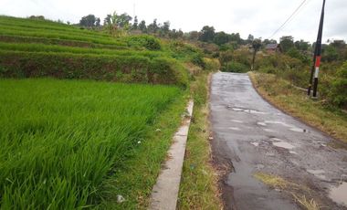 220 Tumbak Sawah Pinggir Jl Cijamil Mekarsari, Dekat Kantor IDI, Cipulus, Ngamprah, Bandung Barat