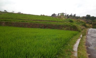 220 Tumbak Sawah Pinggir Jl Cijamil Mekarsari, Dekat Kantor IDI, Cipulus, Ngamprah, Bandung Barat