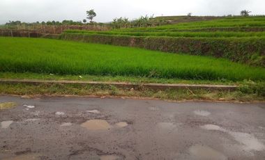 220 Tumbak Sawah Pinggir Jl Cijamil Mekarsari, Dekat Kantor IDI, Cipulus, Ngamprah, Bandung Barat