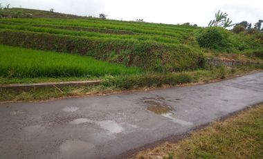 220 Tumbak Sawah Pinggir Jl Cijamil Mekarsari, Dekat Kantor IDI, Cipulus, Ngamprah, Bandung Barat