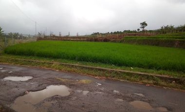 220 Tumbak Sawah Pinggir Jl Cijamil Mekarsari, Dekat Kantor IDI, Cipulus, Ngamprah, Bandung Barat
