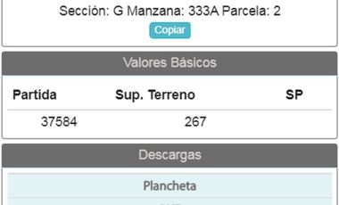 VENTA TERRENO SALIDA A 2 CALLES 267M2 JOS&Eacute; MARMOL