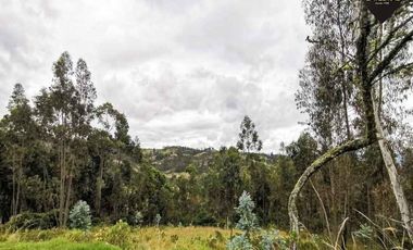 Terreno de venta en Sigsipamba – código:18571