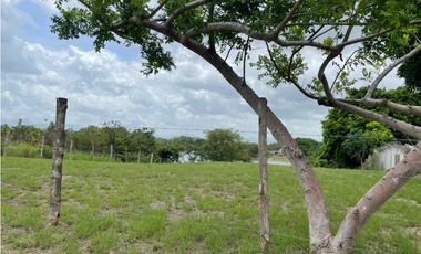 Se Vende Terreno 1,387Mts San carlos USD$100,94 x Mt2