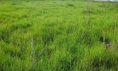 Campo en Santa Fé Norte