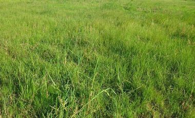 Campo en Santa Fé Norte