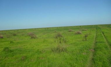 Campo en Santa Fé Norte