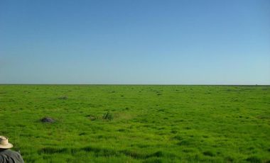 Campo en Santa Fé Norte