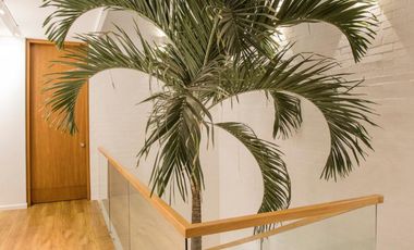 casa en venta en santa teresita. Cod V11814