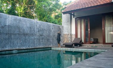 VILLA MURAH DI UBUD TANAH LUAS 14 MENIT KE CENTER UBUD