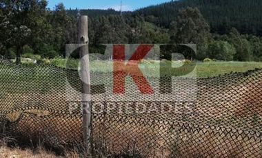 Venta terreno, Laguna Quiñenco Varios Destinos 40.000 mts2.