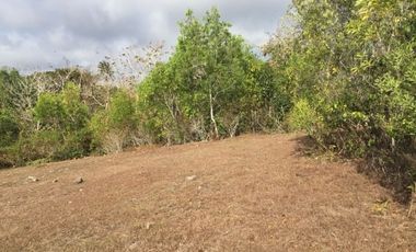 Tanah Kavling View Laut Buc di Pecatu Kuta Selatan Badung