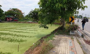 Land for sale, yellow city plan, Y.1, next to Sriwaree Noi-Bangna Trat Road, km. 17, land area 19-2-1.5 rai /38-LA-62051