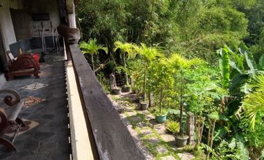 Rumah Etnik Full furnished Asri nan Sejuk di Purwomartani Sleman