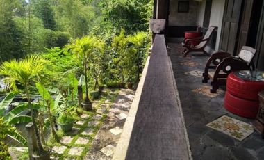 Rumah Etnik Full furnished Asri nan Sejuk di Purwomartani Sleman