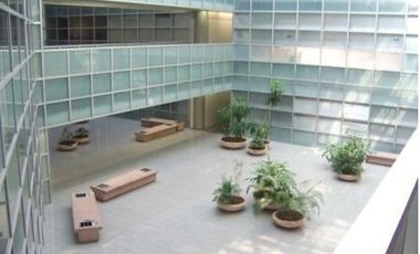 2 oficinas en renta edificio kalos