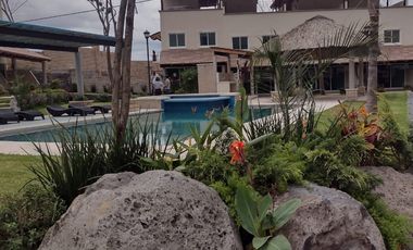 CUMBRE TULIPANES TU MEJOR OPCION.