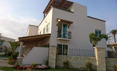 CUMBRE TULIPANES TU MEJOR OPCION.