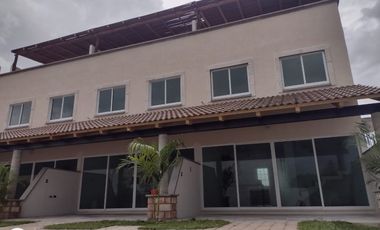 CUMBRE TULIPANES TU MEJOR OPCION.