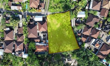 Tanah 425m2 Under Value di Canggu Cocok Untuk Villa