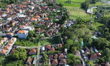 Tanah 425m2 Under Value di Canggu Cocok Untuk Villa