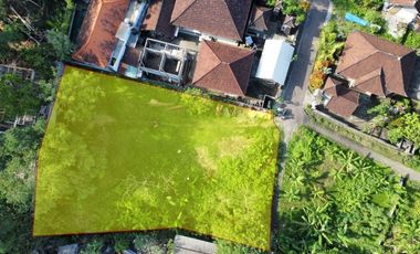 Tanah 425m2 Under Value di Canggu Cocok Untuk Villa