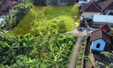 Tanah 425m2 Under Value di Canggu Cocok Untuk Villa