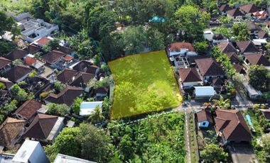 Tanah 425m2 Under Value di Canggu Cocok Untuk Villa