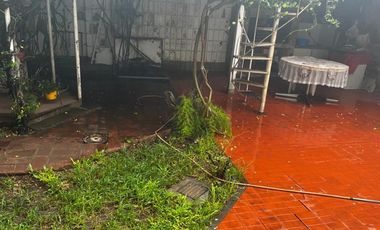 Pasaje pelikan 317 -