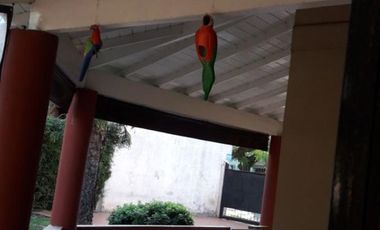 Muy buena casa, en inmejorable ubicación