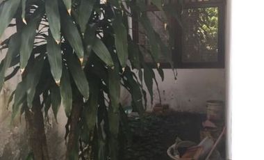 Rumah 1.5 Lantai, asri, nyaman dan tenang dimegapolitan cinere
