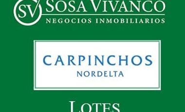 Terreno - Carpinchos