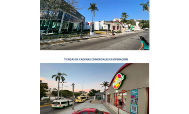 RENTA TERRENO COMERCIAL AV COSTERA FRACC LAS PLAYAS ACAPULCO