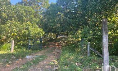 Venta Finca de Mango en la Costa de Chiapas