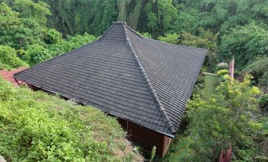 For sale or Leasehold 20 years villa at Batubulan Bali