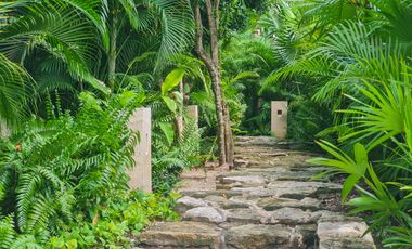 Hermoso PH de 2 rec. en AWA Playacar / Beautiful 2 bedroom PH in AWA Playacar