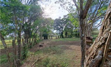 TINAJA, BELLA FINCA EN VENTA URBANIZABLE O HABITACIONAL.