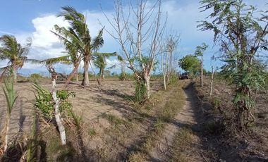 Tanah Los Pantai Cocok Untuk Tambak Udang Lombok Timur
