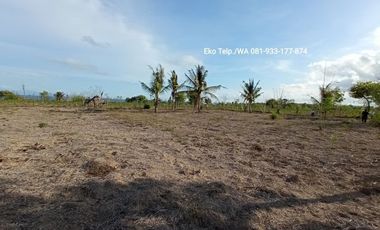 Tanah Los Pantai Cocok Untuk Tambak Udang Lombok Timur