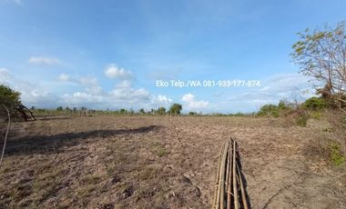 Tanah Los Pantai Cocok Untuk Tambak Udang Lombok Timur