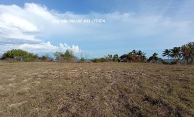 Tanah Los Pantai Cocok Untuk Tambak Udang Lombok Timur