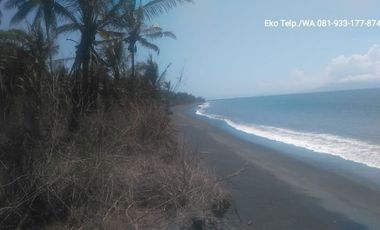 Tanah Los Pantai Cocok Untuk Tambak Udang Lombok Timur