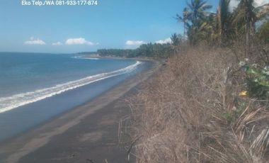 Tanah Los Pantai Cocok Untuk Tambak Udang Lombok Timur